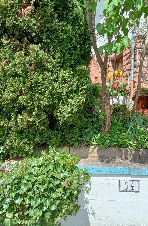 Appartamento Casa la Collina delle Ginestre Eberbach  Esterno foto