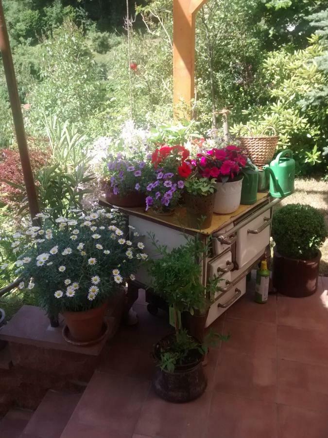Appartamento Casa la Collina delle Ginestre Eberbach  Esterno foto